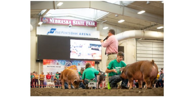 4-H & FFA Exhibitors 2 4-H1