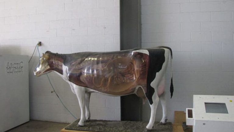Midwest Dairy