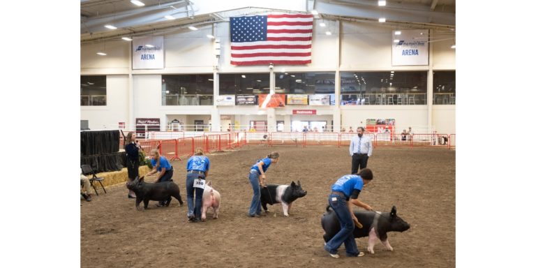 4-H & FFA Exhibitors 3 FFA2