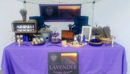 Sandhills Lavender Farm 7 Sandhills