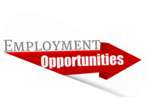 Home 7 Employment Opportunities 800x600 1