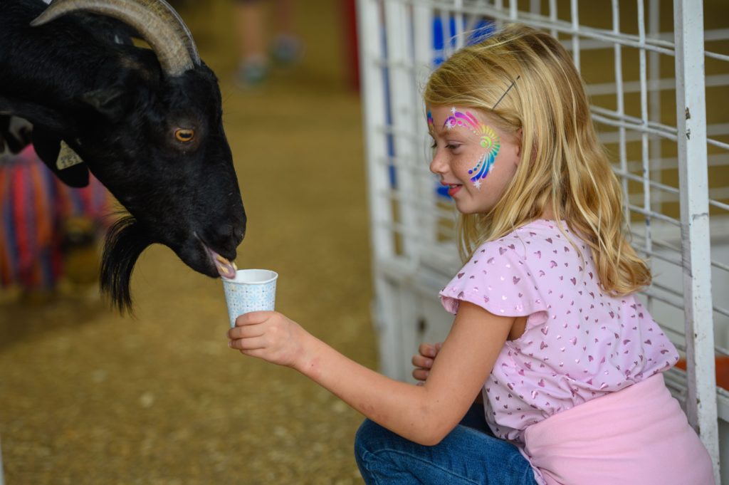 Fun for Kids and Tots 4 Petting zoo