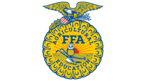 FFA Day 1 MicrosoftTeams image 1
