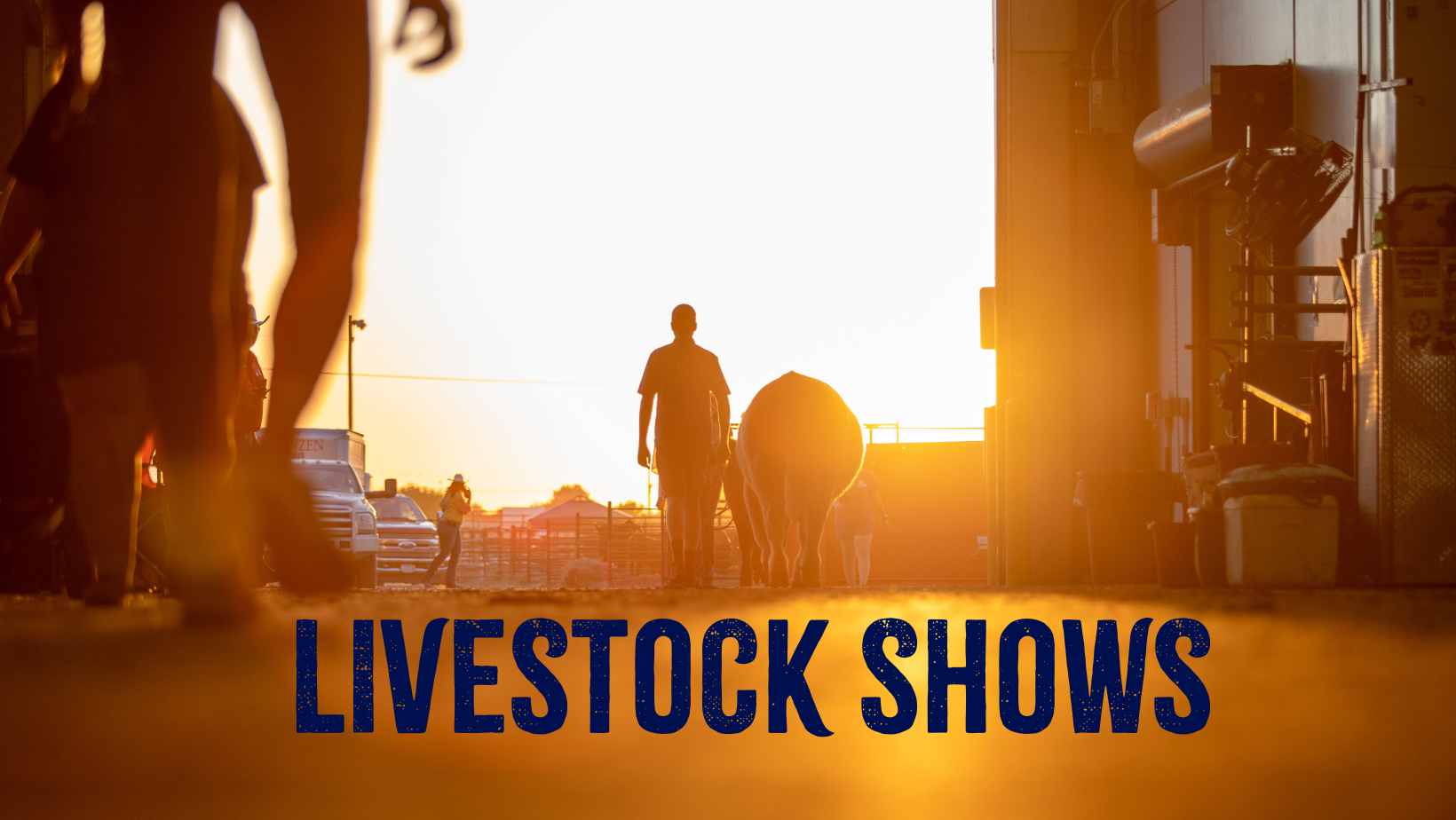 Livestock Shows Nebraska State Fair
