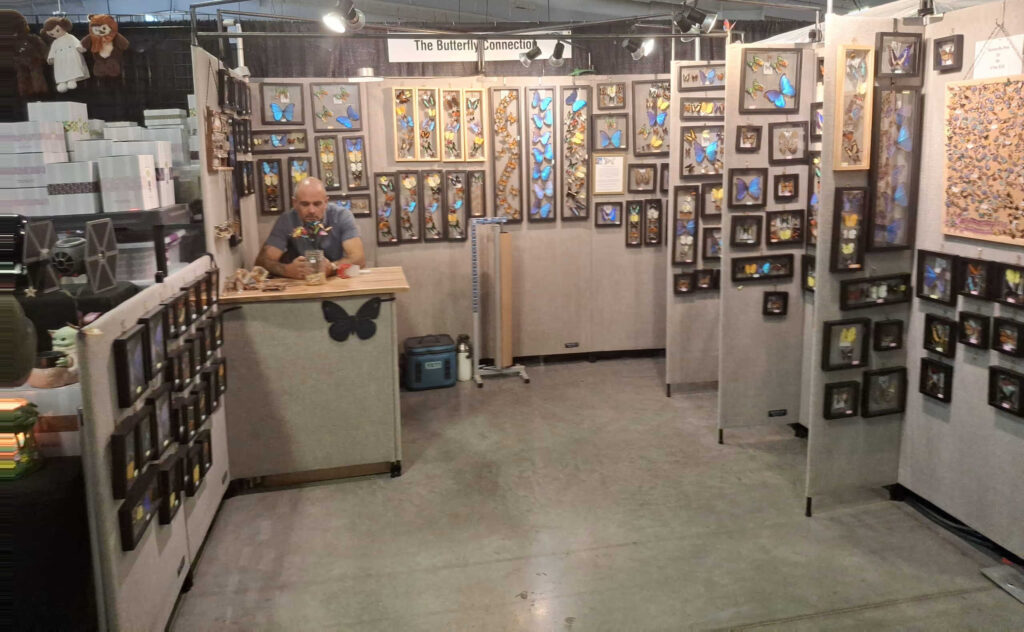 f109 the butterfly connection scaled 1