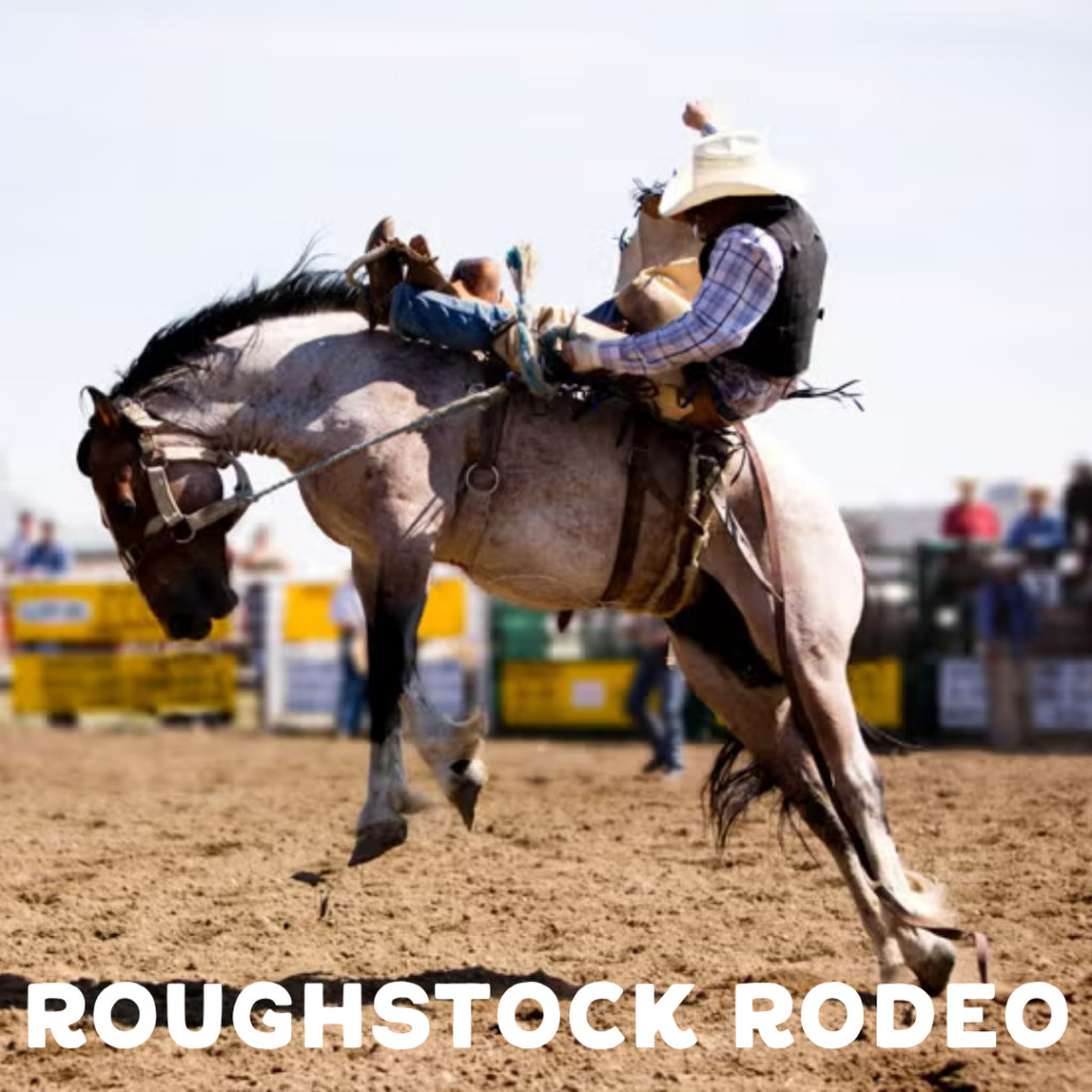 Roughstock Rodeo May Newsletter