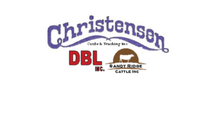 Christensen Cattle Co DBL Sandy Rdg logo png