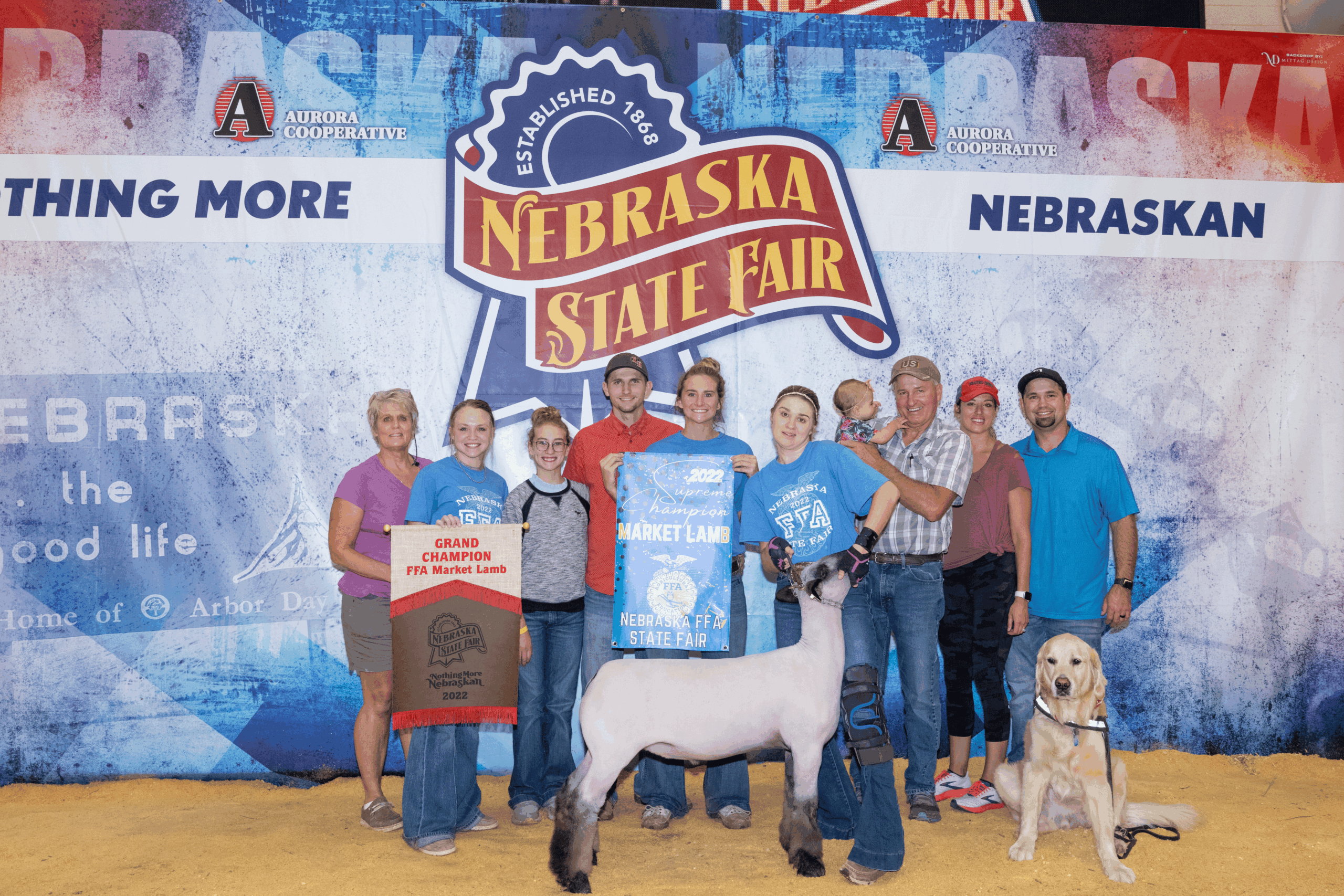 Past Champions FFA 26 scaled